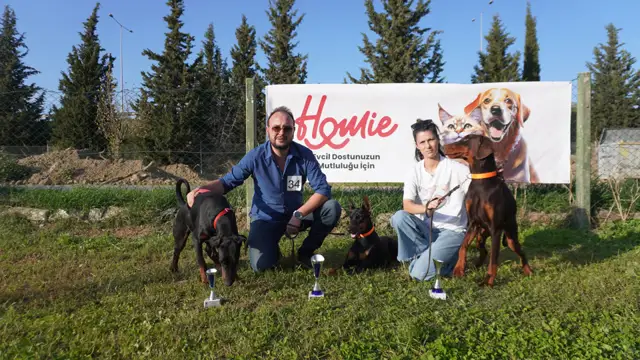 Yavru Köpeklerde İlk 7 Gün: Eve Alışma ve Tuvalet Eğitimi Rehberi