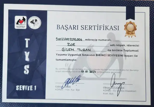 Toplumsal Yaşama Uyum Sınavı Başarı Sertifikası