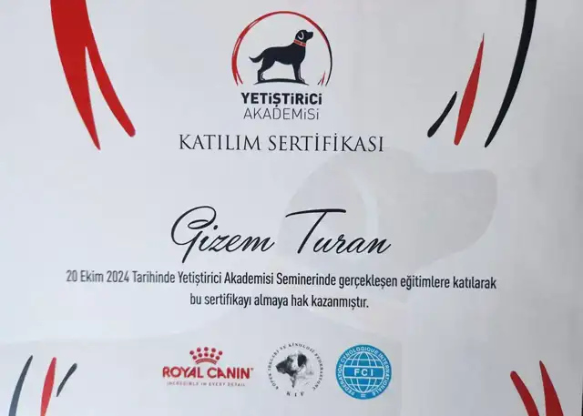 Yetiştirici Akademisi